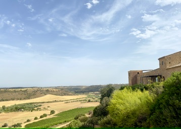 Rolling vineyard hills and rustic architecture at Feudi Del Pisciotto Winery in Sicily.