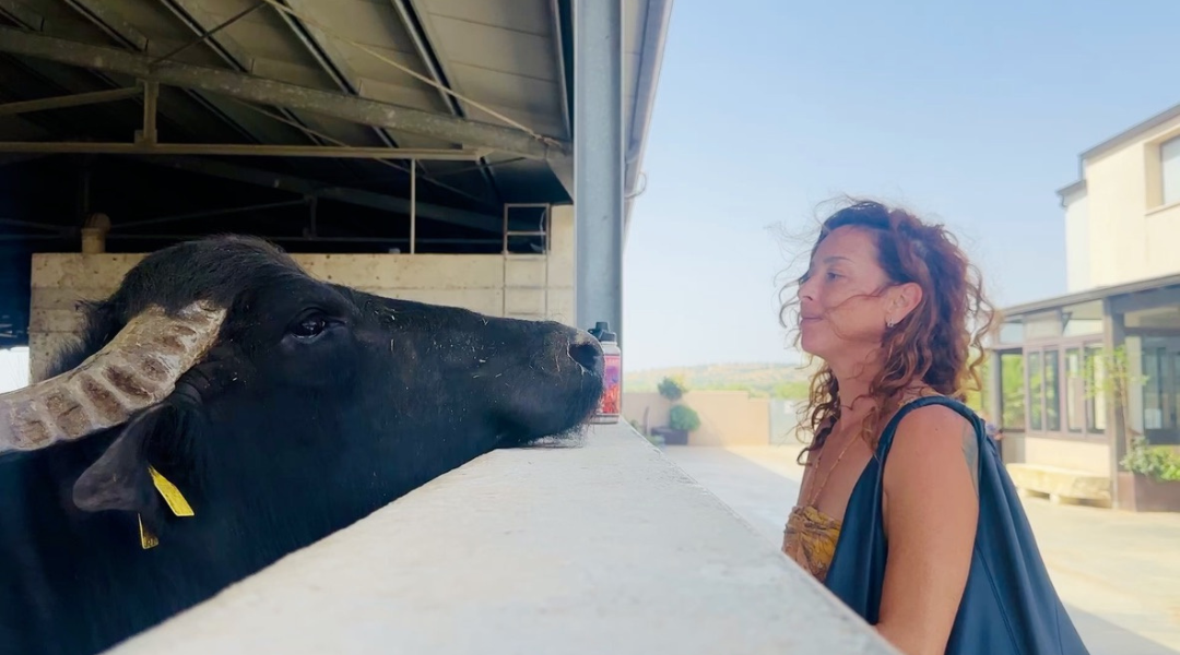 A woman face-to-face with a water buffalo at Az. Agricola Magazzè in Santa Croce, Sicily.